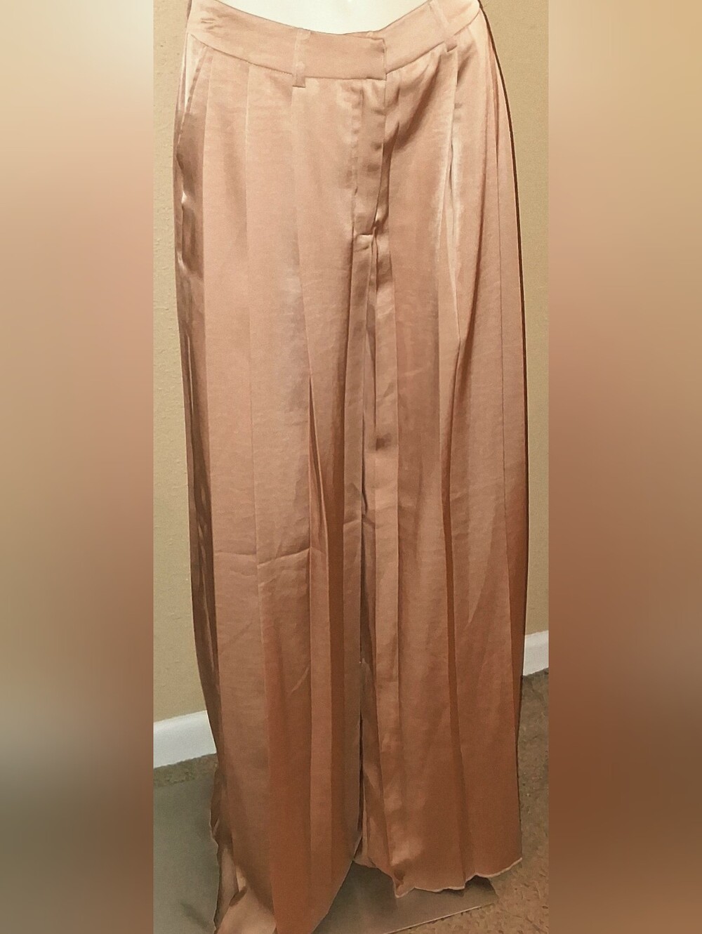 AKIRA Women's Wide-Leg Pleated Dress Pants in Blush Tan